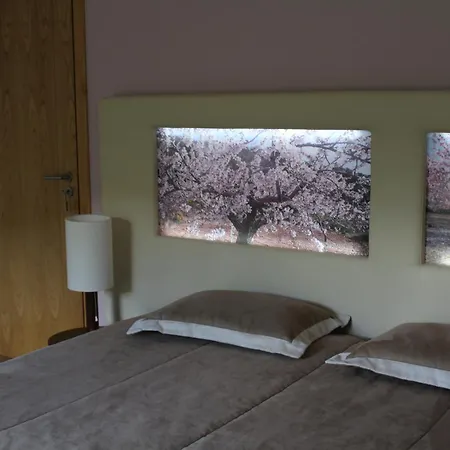 Apartamento Terra Amendoeiras Bragança